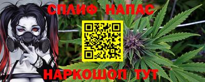 индика Будённовск