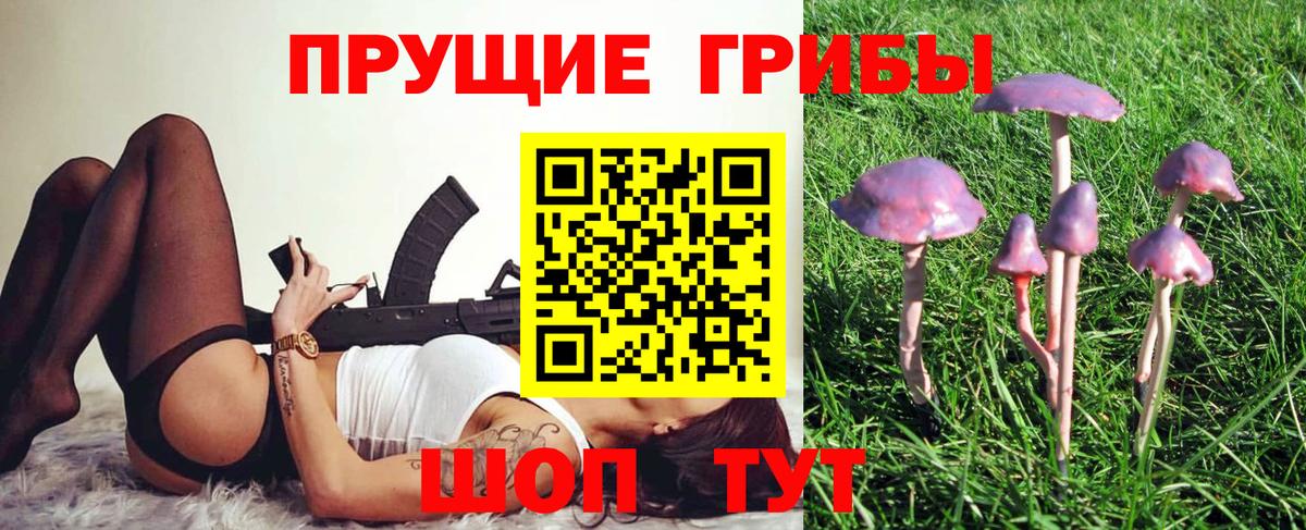 Галлюциногенные грибы ЛСД Красноперекопск