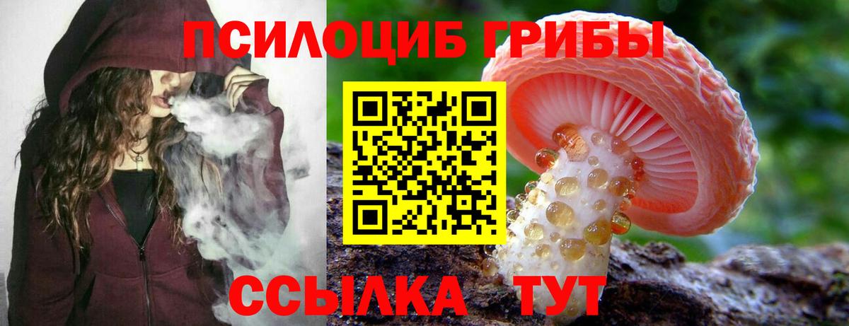 Красноперекопск  Псилоцибиновые грибы Psilocybine cubensis  закладки  Вход с VPN 